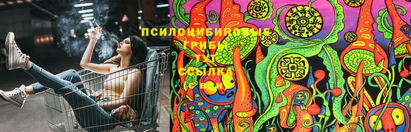 марки lsd Дмитриев