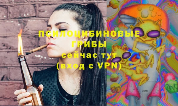 ALPHA PVP Гусь-Хрустальный