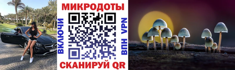Псилоцибиновые грибы Psilocybine cubensis  ссылка на мегу ONION  Звенигород 